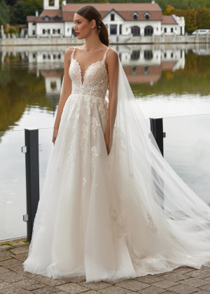 Ivory Lace Tulle Low Open Back Wedding Dress With Watteau Train